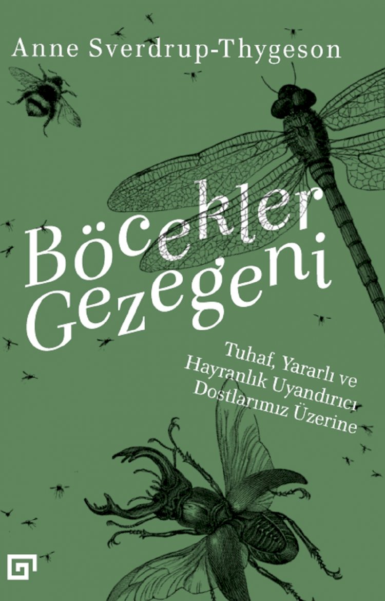 BÖCEKLER GEZEGENİ: