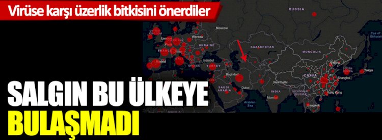 Türkmenistan’da şu ana kadar korona virüs görülmedi… İşin sırrı üzerlik bitkisi mi?
